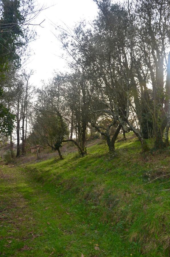 Il Giardino Secreto Διαμέρισμα Manziana Εξωτερικό φωτογραφία