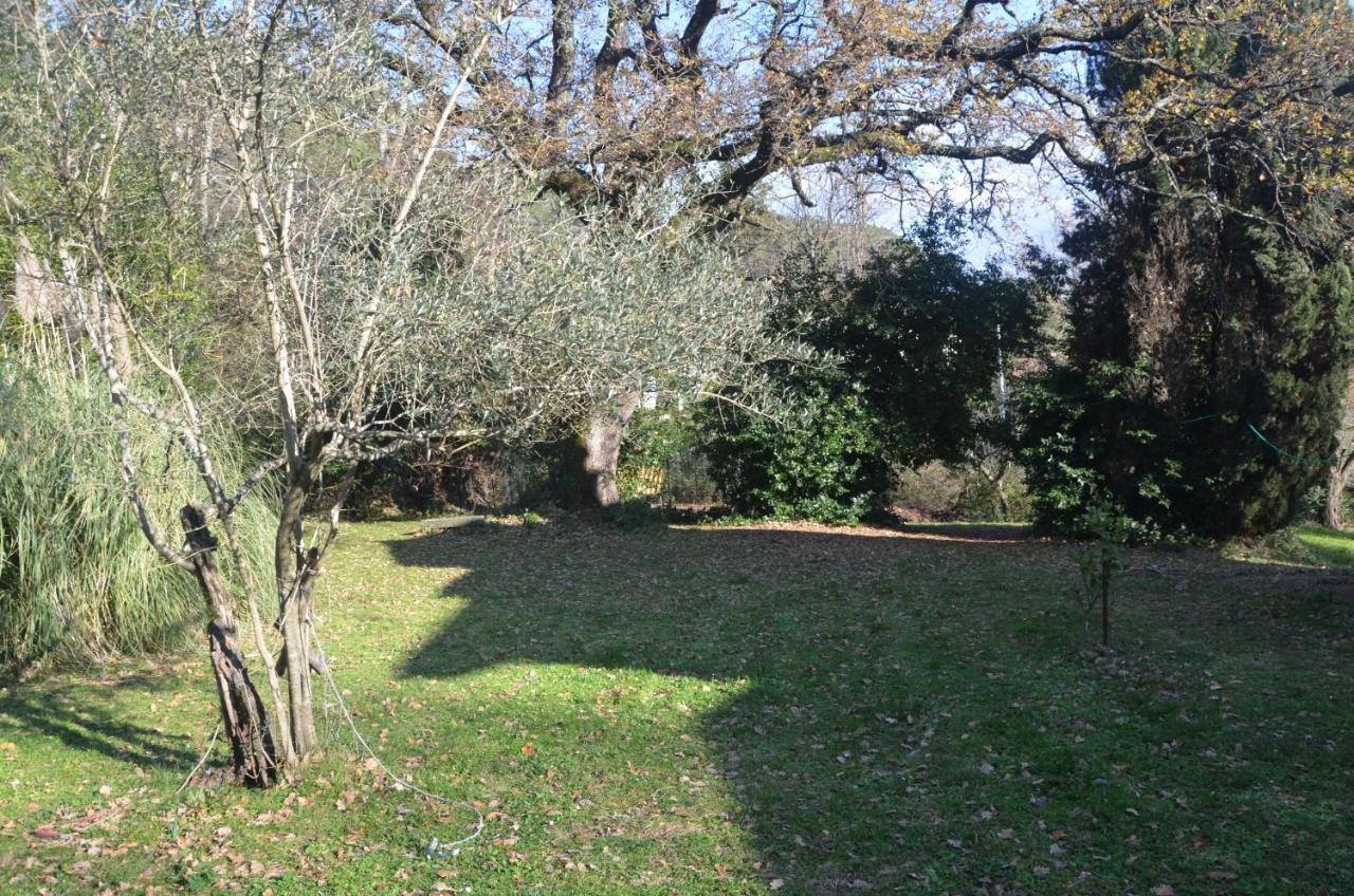 Il Giardino Secreto Διαμέρισμα Manziana Εξωτερικό φωτογραφία