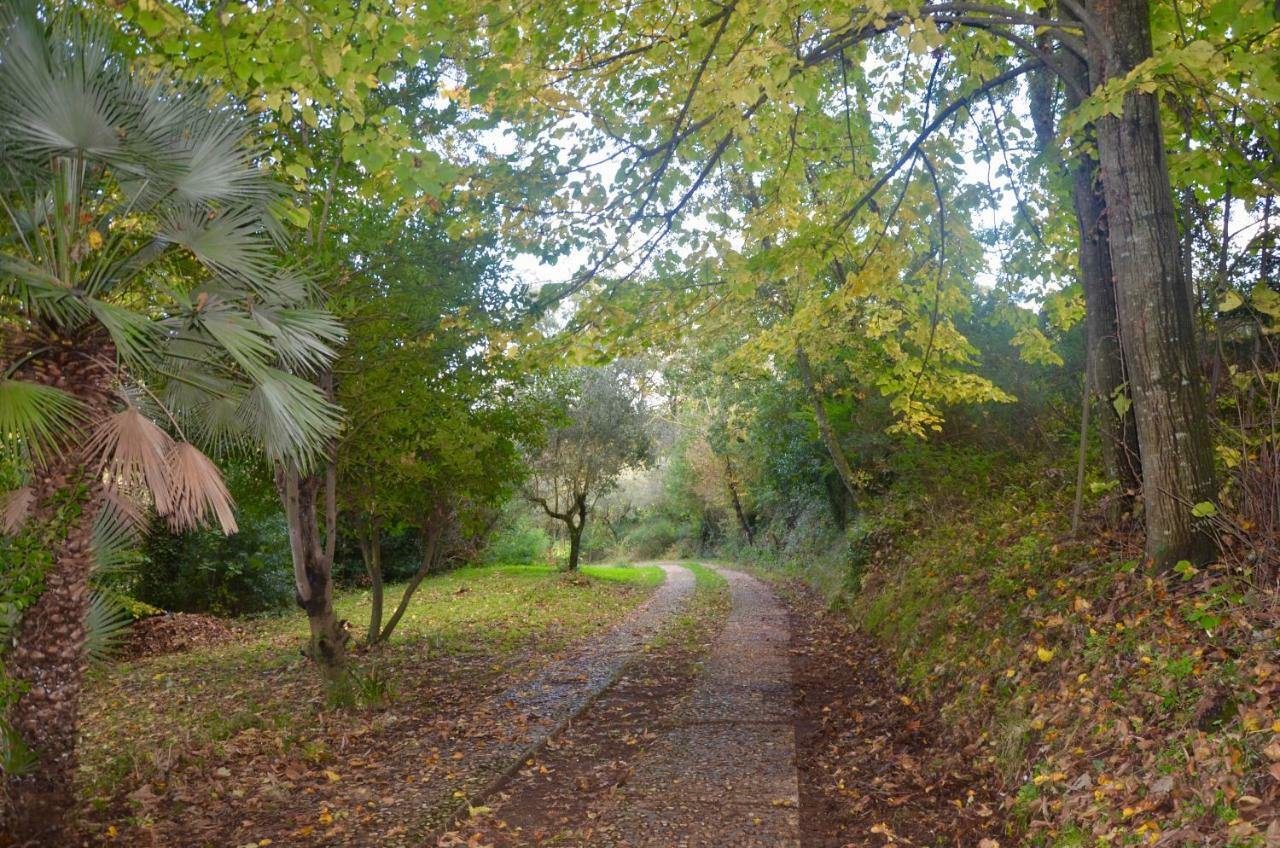 Il Giardino Secreto Διαμέρισμα Manziana Εξωτερικό φωτογραφία